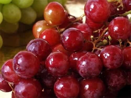 Grape seed extract, natural antioxidant additives